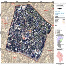 Building Inventory Damage and Sesmic Intensity Survey of Lalitpur